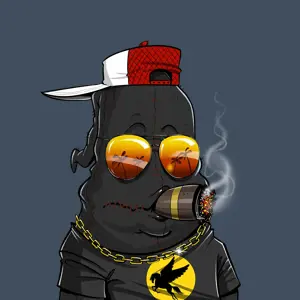 Ace